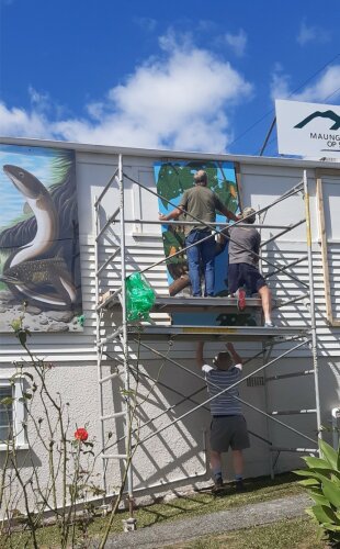 Call to celebrate Kaipara champions 